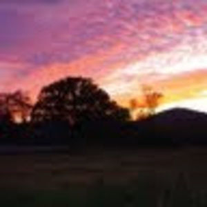 Meet your Posher, Joy